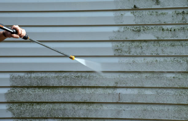 Best Solar Panel Cleaning  in Marthasville, MO